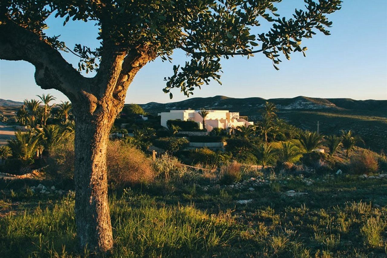 Real Agua Amarga La Joya - Adults Only Hotel Kültér fotó